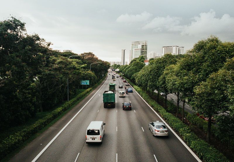 En arealbild av en trafikerad landsväg med en rad träd bredvid.