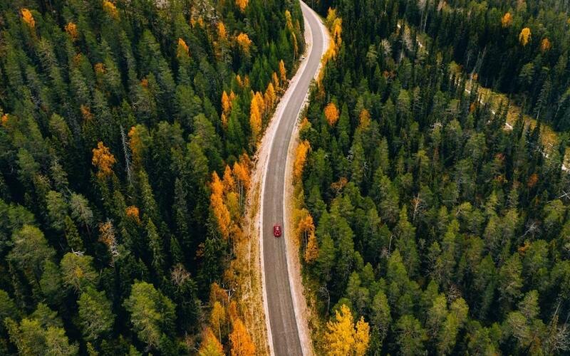 An aerial shot of an EV driving on a forest road.